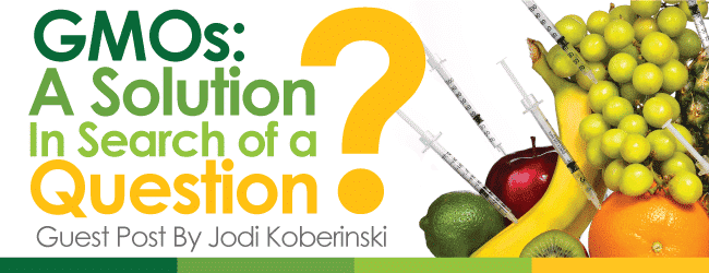 GMOs-A-Solution-In-Search-Of-A-Problem-Jodi-Koberinski