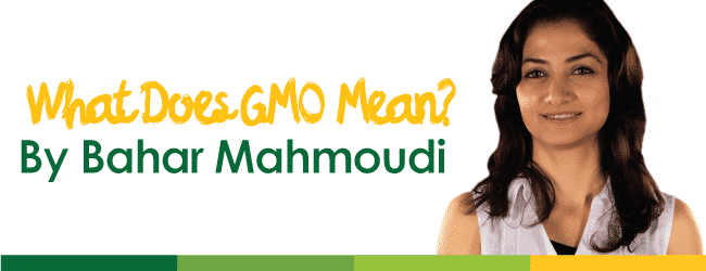 What-Does-GMO-Mean-by-Bahar-Mahmoudi---Nature's-Emporium